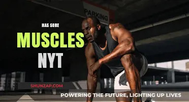 Sore Muscles After a Workout? NYT Explores Recovery Tips and Remedies