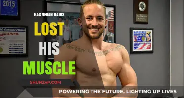 Has Vegan Gains Lost Muscle Mass? Examining His Physique Transformation