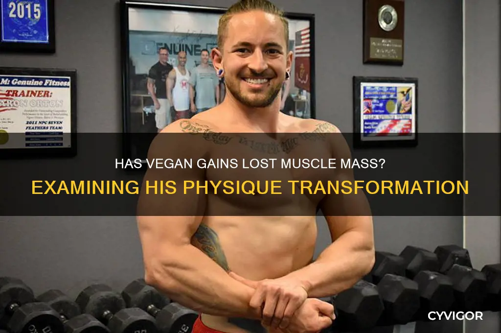 has vegan gains lost his muscle