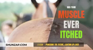 Muscle Itch: What Does It Mean?