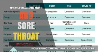 Cold Chills, Aching Muscles, Sore Throat: Understanding Your Symptoms
