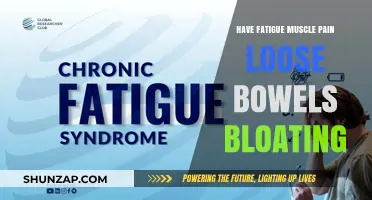 Chronic Fatigue, Muscle Pain, Loose Bowels, and Bloating: Understanding Your Symptoms