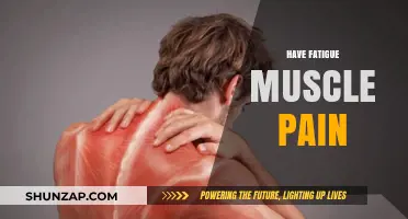 Understanding Fatigue and Muscle Pain: Causes, Symptoms, and Relief Strategies