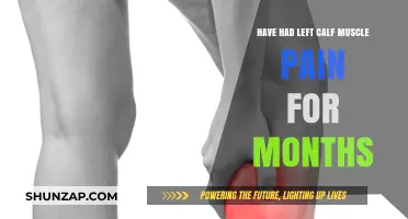 Persistent Left Calf Muscle Pain: Causes, Remedies, and Recovery Tips