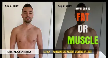 Fat or Muscle Gain: How to Tell the Difference and Why It Matters