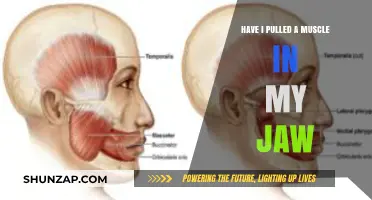 Jaw Pain: How to Tell If You've Pulled a Muscle