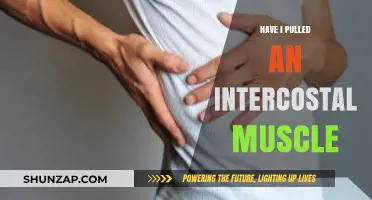 Pulled Intercostal Muscle: Symptoms, Causes, and Recovery Tips Explained