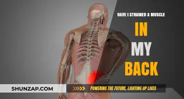 Back Pain Blues: How to Tell If You've Strained a Muscle