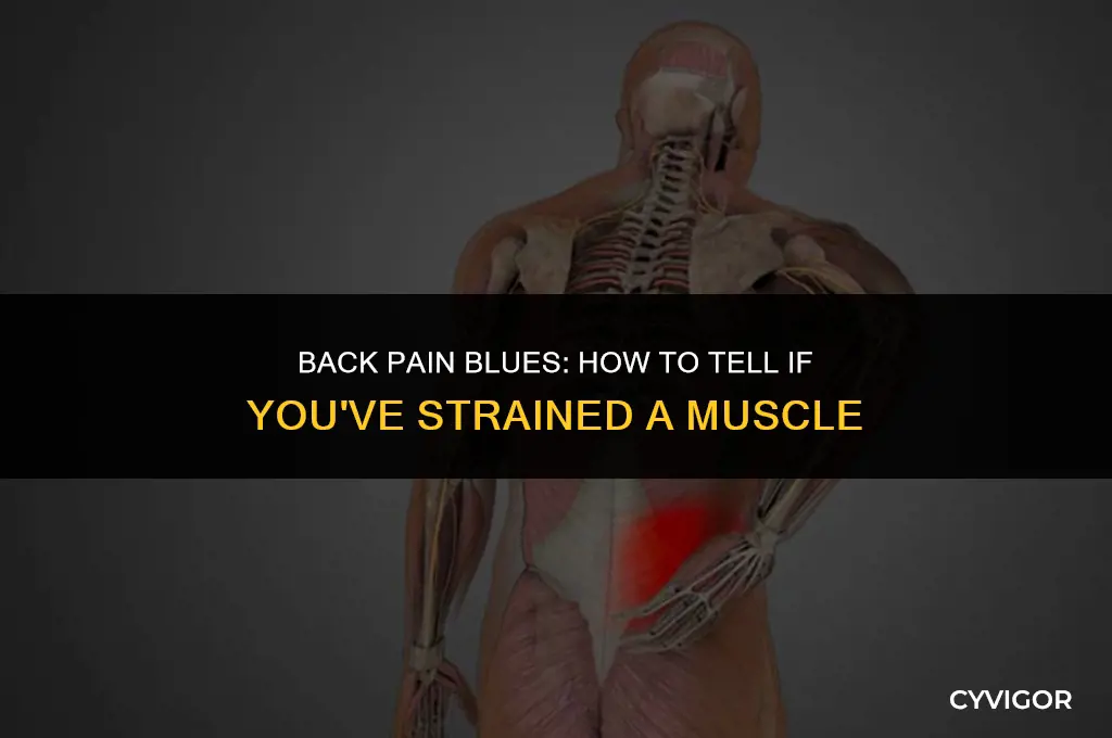 have i strained a muscle in my back