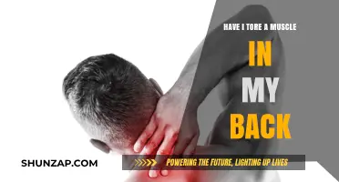 Back Pain Blues: Could You Have Torn a Muscle?