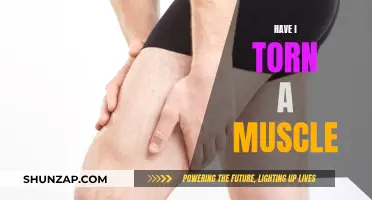 Muscle Tears: Identifying and Treating Them