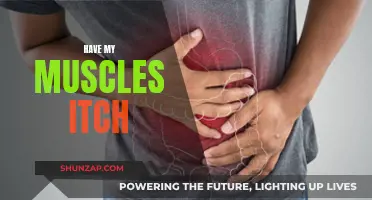 Muscle Itch: What Your Body Is Trying to Tell You