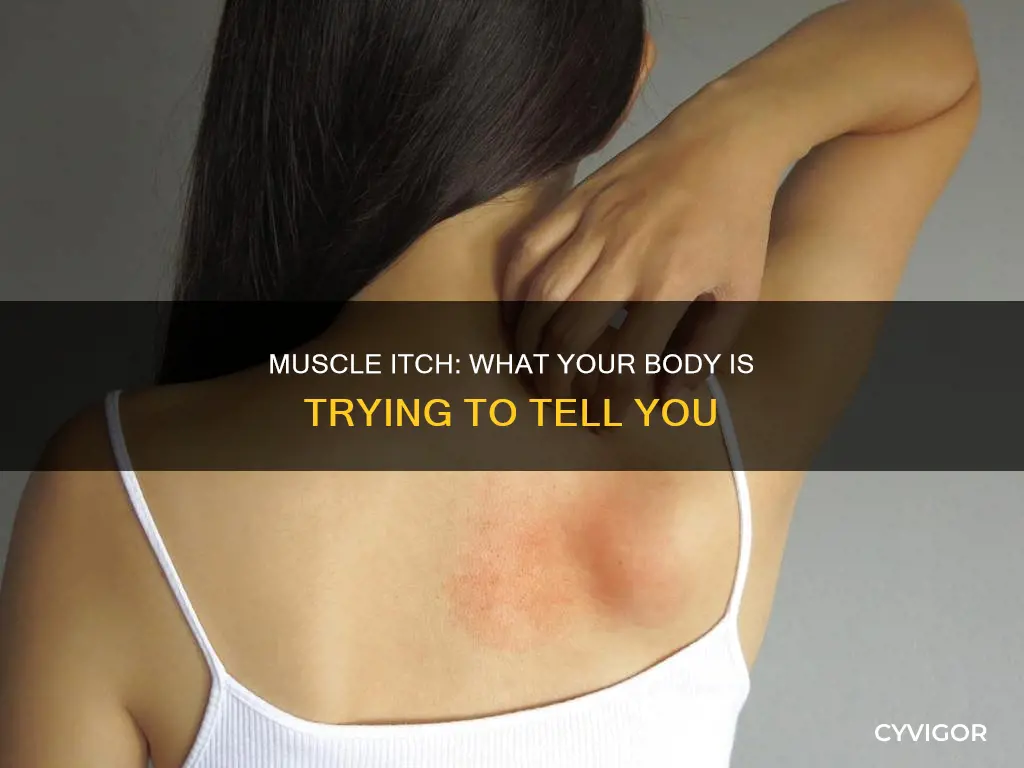 have my muscles itch