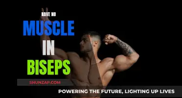 How to Build Muscle in Your Biceps