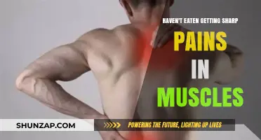 Understanding Muscle Pain: Causes and Remedies for Sharp Aches