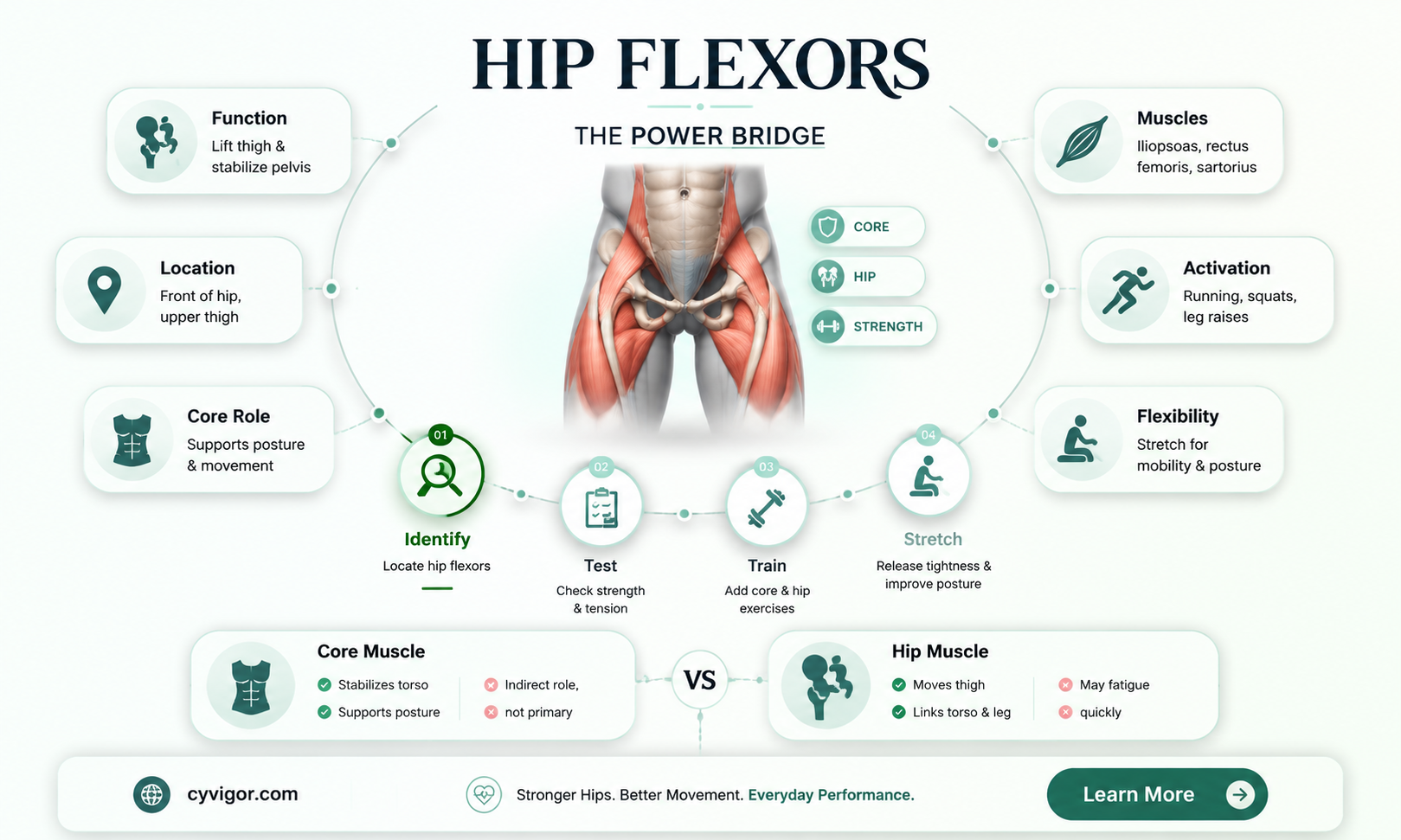 are hip flexors core muscles