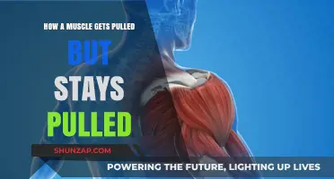 Understanding Chronic Muscle Strains: Why They Happen and How to Heal