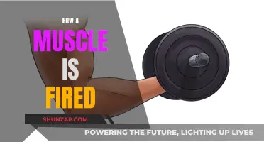 Muscle Contraction: The Spark of Life