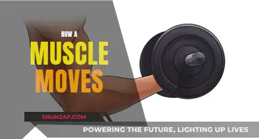 Muscle Movement Mechanics: Unlocking the Power of Contraction