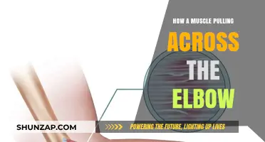 Understanding Elbow Muscle Strains: Causes, Symptoms, and Effective Recovery Tips