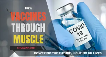 Muscle-delivered Vaccines: How They Work and Why