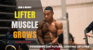 Muscle Growth Secrets: How Weightlifters Build Strength and Size