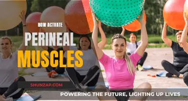 Activating Your Perineal Muscles: A Step-by-Step Guide