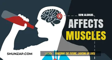Unveiling the Impact: How Alcohol Affects Your Muscles