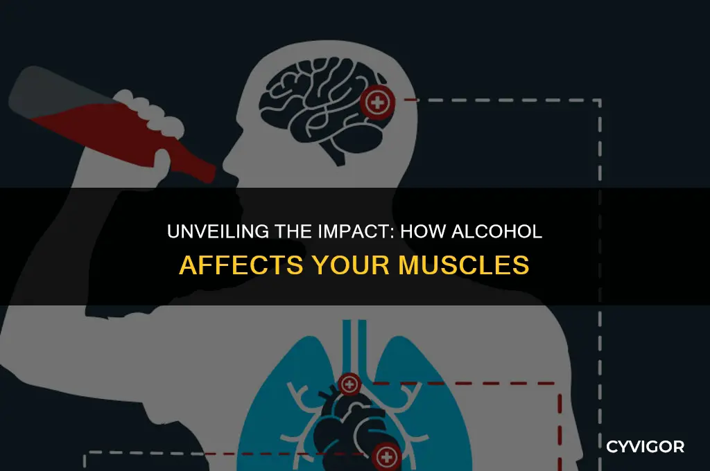 how alcogol affects muscles