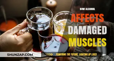 The Impact of Alcohol on Muscle Recovery: What You Need to Know