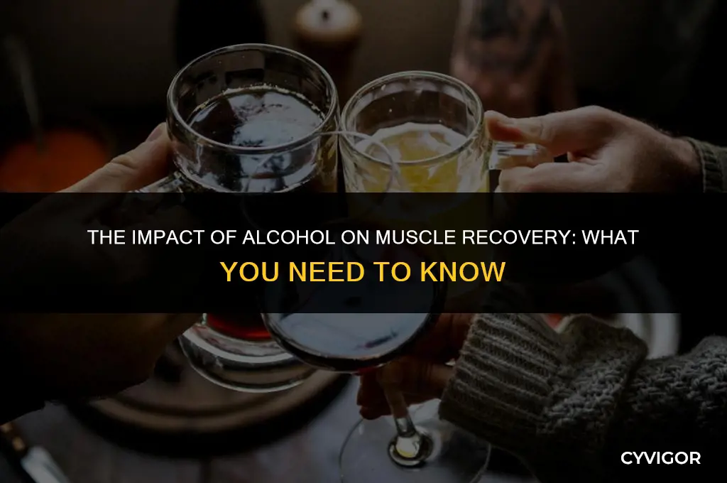 how alcohol affects damaged muscles