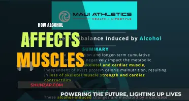 Unveiling the Impact: How Alcohol Influences Muscle Health and Performance