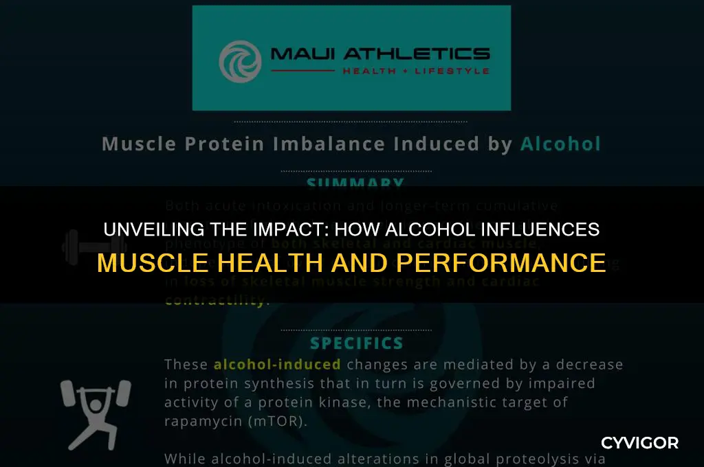 how alcohol affects muscles