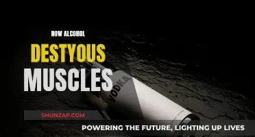 Alcohol's Impact: Muscle Destruction and Degradation