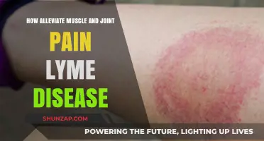 Effective Strategies to Relieve Lyme Disease-Related Muscle and Joint Pain