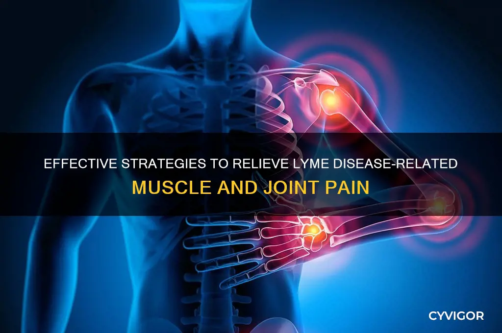 how alleviate muscle and joint pain lyme disease