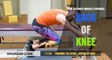 Relieving Muscle Stiffness Behind the Knee: Effective Tips and Exercises