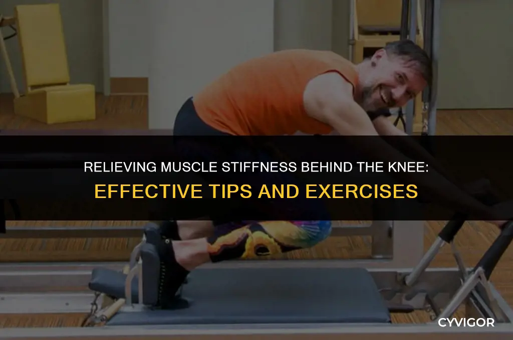 how alleviate muscle stiffness back of knee