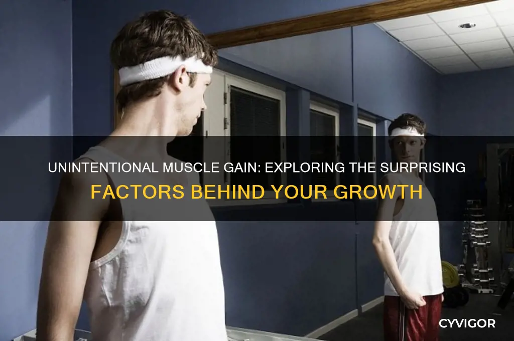 how am i gaining muscle without working out