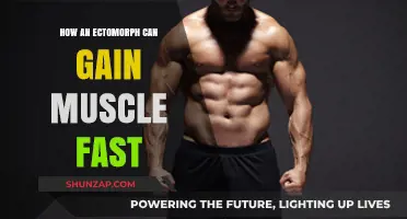 Ectomorph Muscle Gain: Fast Strategies for Quick Results