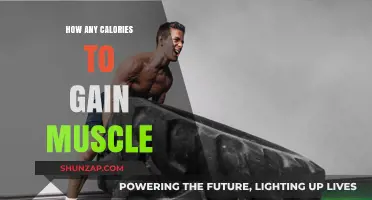 Fuel Your Muscle Growth: Calorie Intake Guide for Strength Gains