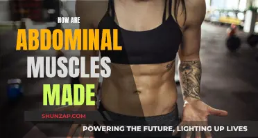 Building Strong Abdominal Muscles: A Comprehensive Guide