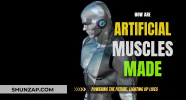 Creating Artificial Muscles: The Science Behind Their Making