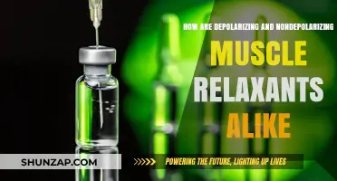 Depolarizing vs. Nondepolarizing Muscle Relaxants: Shared Mechanisms and Clinical Uses