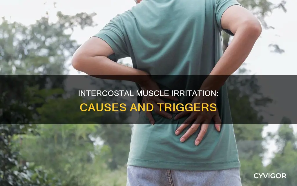 how are intercostal muscles irritated