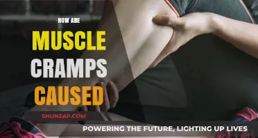 Understanding Muscle Cramps: Causes and Prevention