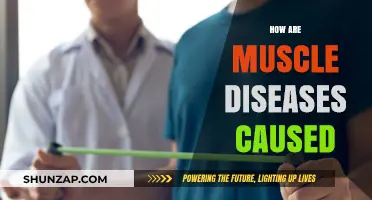 Muscle Diseases: Causes and Triggers