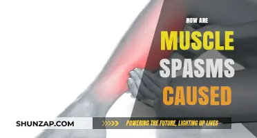 Understanding Muscle Spasms: Causes and Triggers