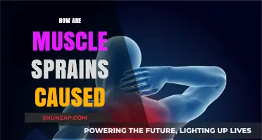 Understanding Muscle Sprains: Causes and Prevention