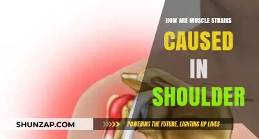 Shoulder Muscle Strains: Causes and Prevention